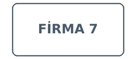 Firma 7
