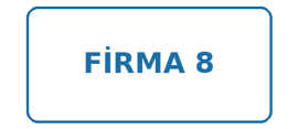 Firma 8