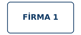 Firma 1