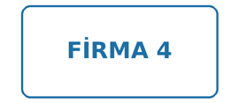 Firma 4